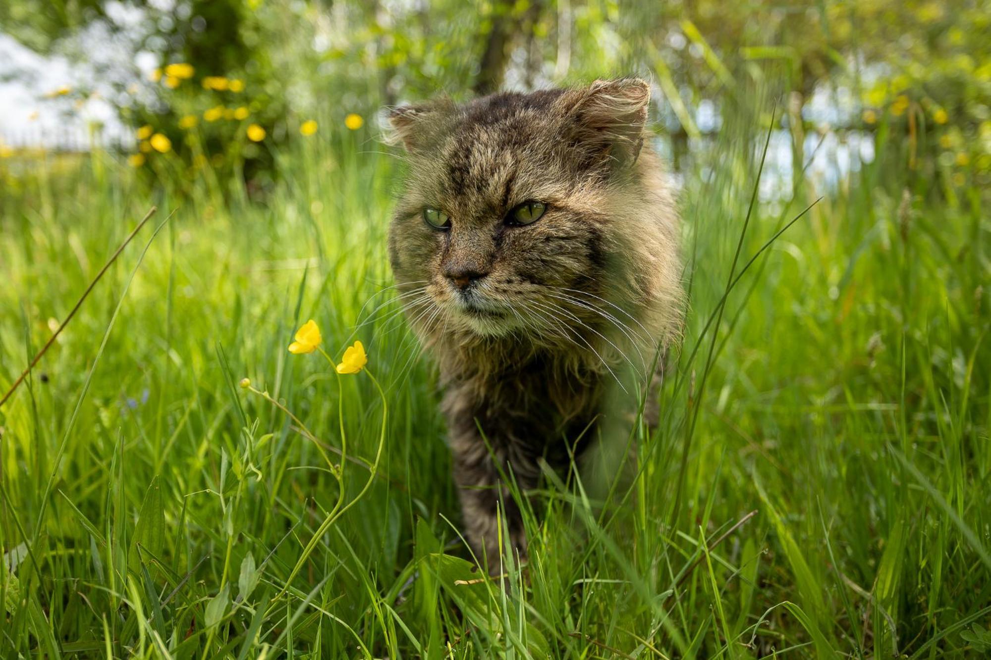 Paradise Cottage - Chalupa V Raji Ctverin Экстерьер фото